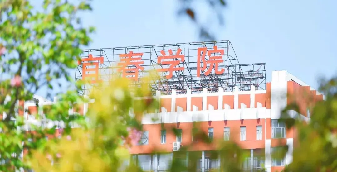 如何在比赛中发现和发展球员潜力_1